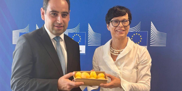 Erməni ərikləri ilk dəfə Avropanın böyük ticarət şəbəkələrində satışa çıxarılacaq
