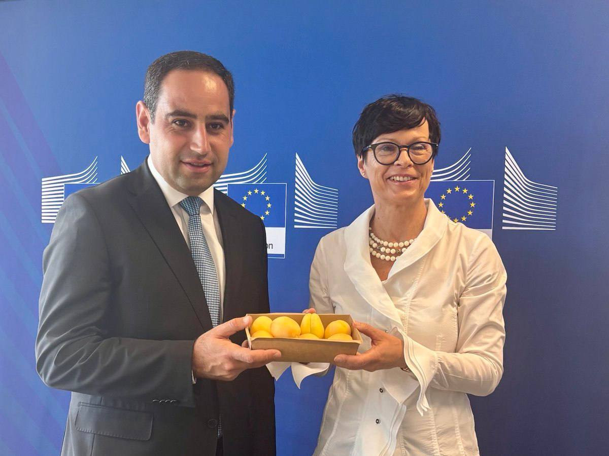 Erməni ərikləri ilk dəfə Avropanın böyük ticarət şəbəkələrində satışa çıxarılacaq