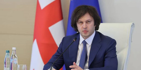 Kobaxidze: Gürcüstan süni şəkildə yaradılan nifrətə qarşı mübarizə aparacaq