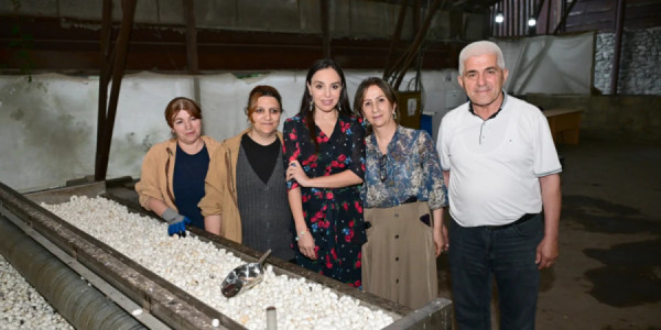 Leyla Əliyeva "Azəripək" ASC-nin fəaliyyəti ilə yaxından tanış olub