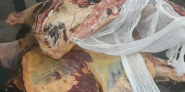 500 kiloqrama yaxın yararsız at əti dövriyyədən çıxarılıb -