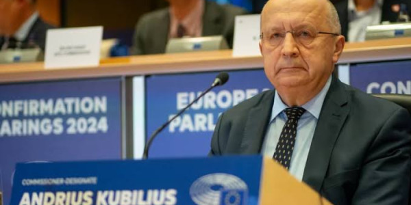 Kubilius: Rusiya yaxın gələcəkdə Aİ üzv dövlətlərinə qarşı müharibəyə başlaya bilər