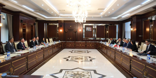 Əli Hüseynli İtaliya Deputatlar Palatasının komitə sədri ilə görüşüb
