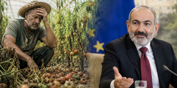 Moldova ilə Ermənistanın müvcud vəziyyəti müqayisə olundu