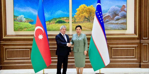 Bakı və Daşkənd parlamentlərarası dialoqun genişləndirilməsini hədəfləyir
