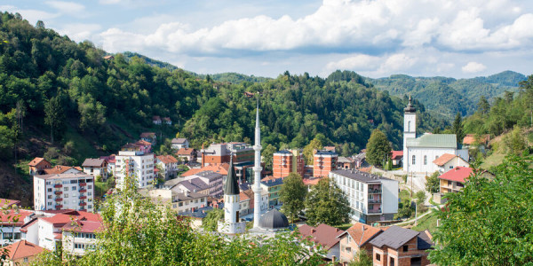 Bosniya səfiri: Aİ BMT Təhlükəsizlik Şurasını kənarda qoymağa çalışıb