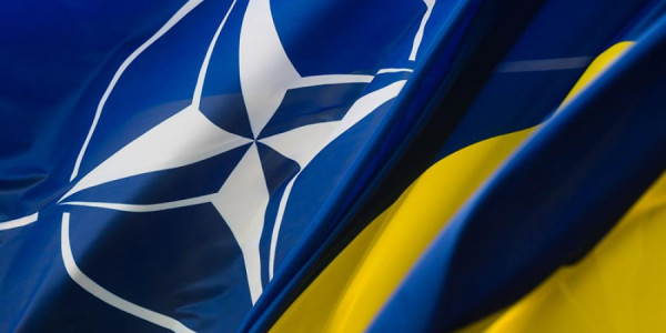 Miroşnik Ukraynanı NATO sammiti öncəsi ittiham edib