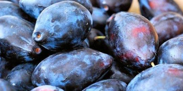 Azərbaycan daha bir ölkədən gavalı və göyəm tədarük etməyə başlayıb
