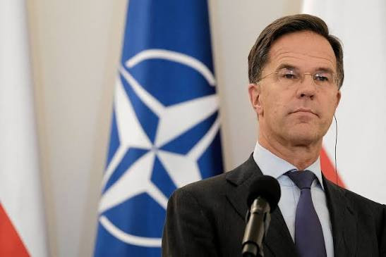 Rutte: Putin üçün bu itkilərin əhəmiyyəti yoxdur