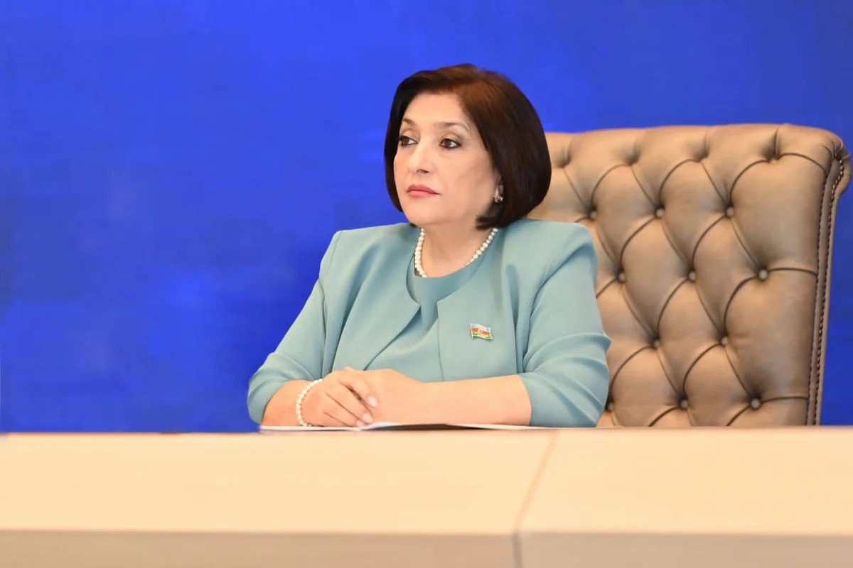 Sahibə Qafarova: Silahlı münaqişələr zamanı ətraf mühitin qorunması təkcə ekoloji problem deyil