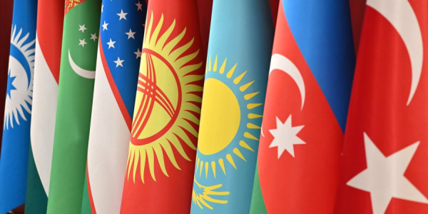 Türkoloqdan təklif: