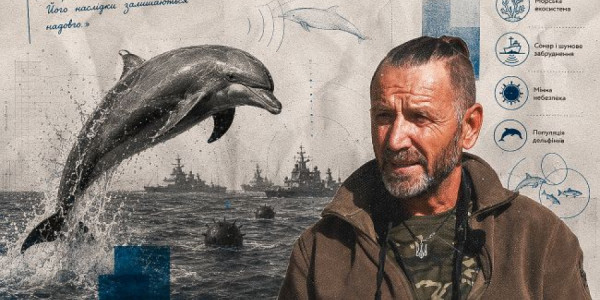 Müharibə Qara dənizdə 100 mindən çox delfinin ölümünə səbəb ola bilər