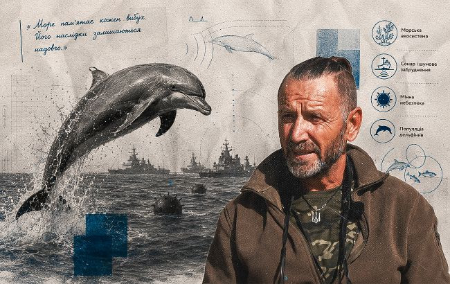 Müharibə Qara dənizdə 100 mindən çox delfinin ölümünə səbəb ola bilər