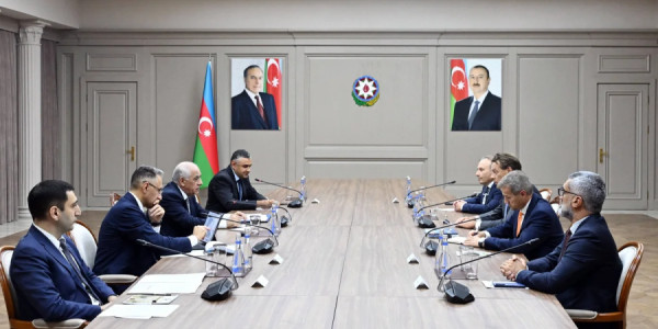 Əli Əsədov "Damen Shipyards Group" şirkətinin baş icraçı direktoru ilə görüşüb