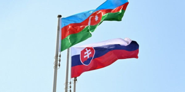 Vüqar Rəhimzadə: Azərbaycan ilə Slovakiya arasında əlaqələr strateji tərəfdaşlıq səviyyəsinə yüksəlib