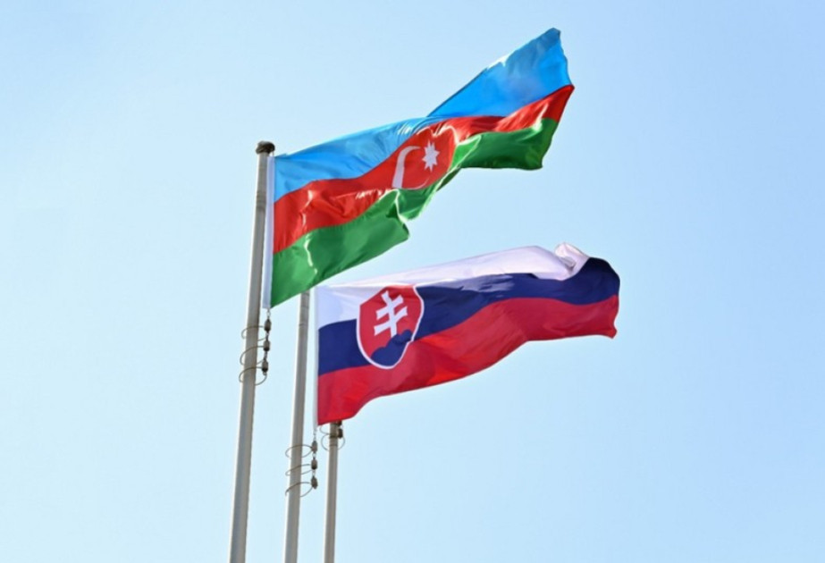 Vüqar Rəhimzadə: Azərbaycan ilə Slovakiya arasında əlaqələr strateji tərəfdaşlıq səviyyəsinə yüksəlib