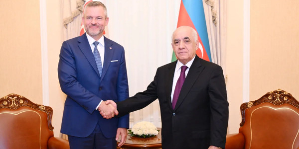 Əli Əsədov Slovakiya Prezidenti ilə əməkdaşlığın genişləndirilməsini müzakirə edib