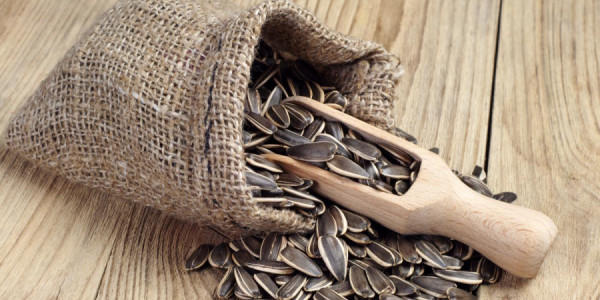 E vitamini ilə zəngin 5 məhsul açıqlandı: Günəbaxan tumunu belə geridə qoyurlar