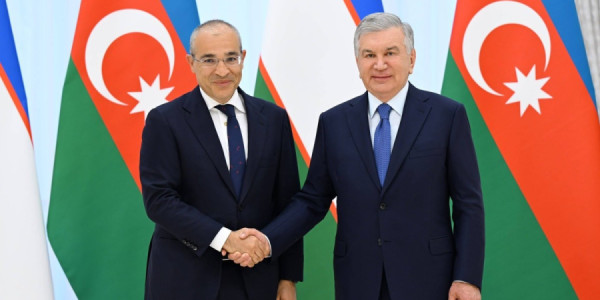Mikayıl Cabbarov Özbəkistan Prezidenti Şavkat Mirziyoyev tərəfindən qəbul olunub