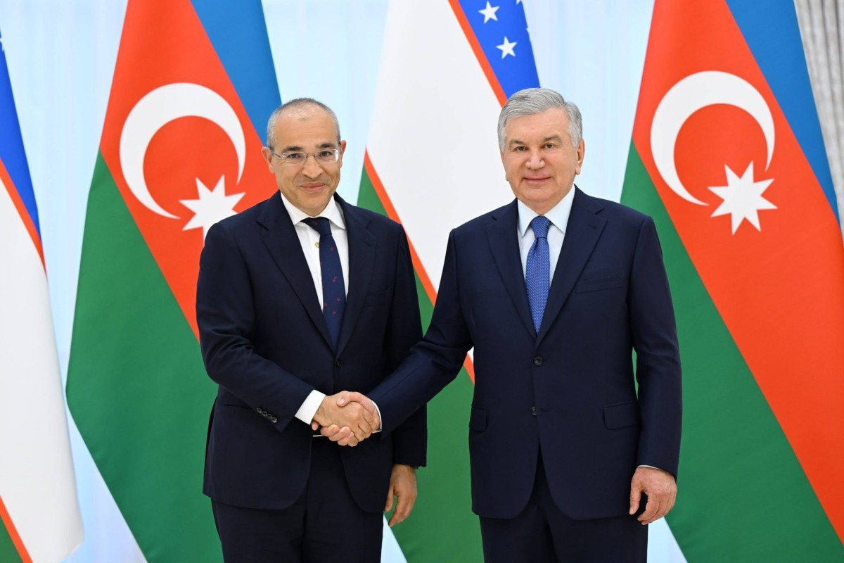 Mikayıl Cabbarov Özbəkistan Prezidenti Şavkat Mirziyoyev tərəfindən qəbul olunub