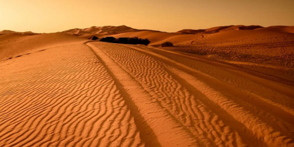 Kanar adalarında təhlükəli Sahara toz fırtınaları artır: Turistlərə xəbərdarlıq edilib