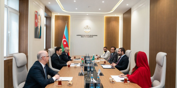 Ədliyyə naziri Pakistanın hüquq və ədliyyə üzrə dövlət naziri ilə görüşüb