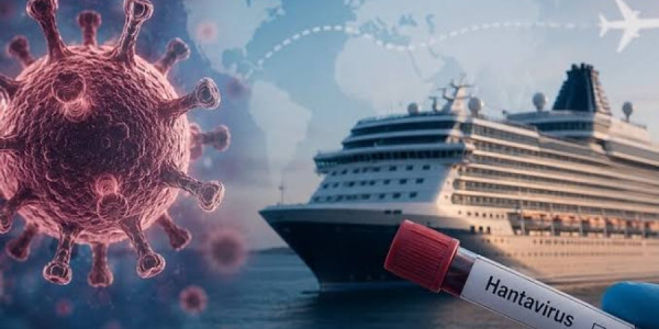 Hantavirus kabusu bitmir: Həkim şok faktları açıqladı