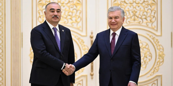 Rəşad Məmmədov etimadnaməsini Şavkat Mirziyoyevə təqdim edib