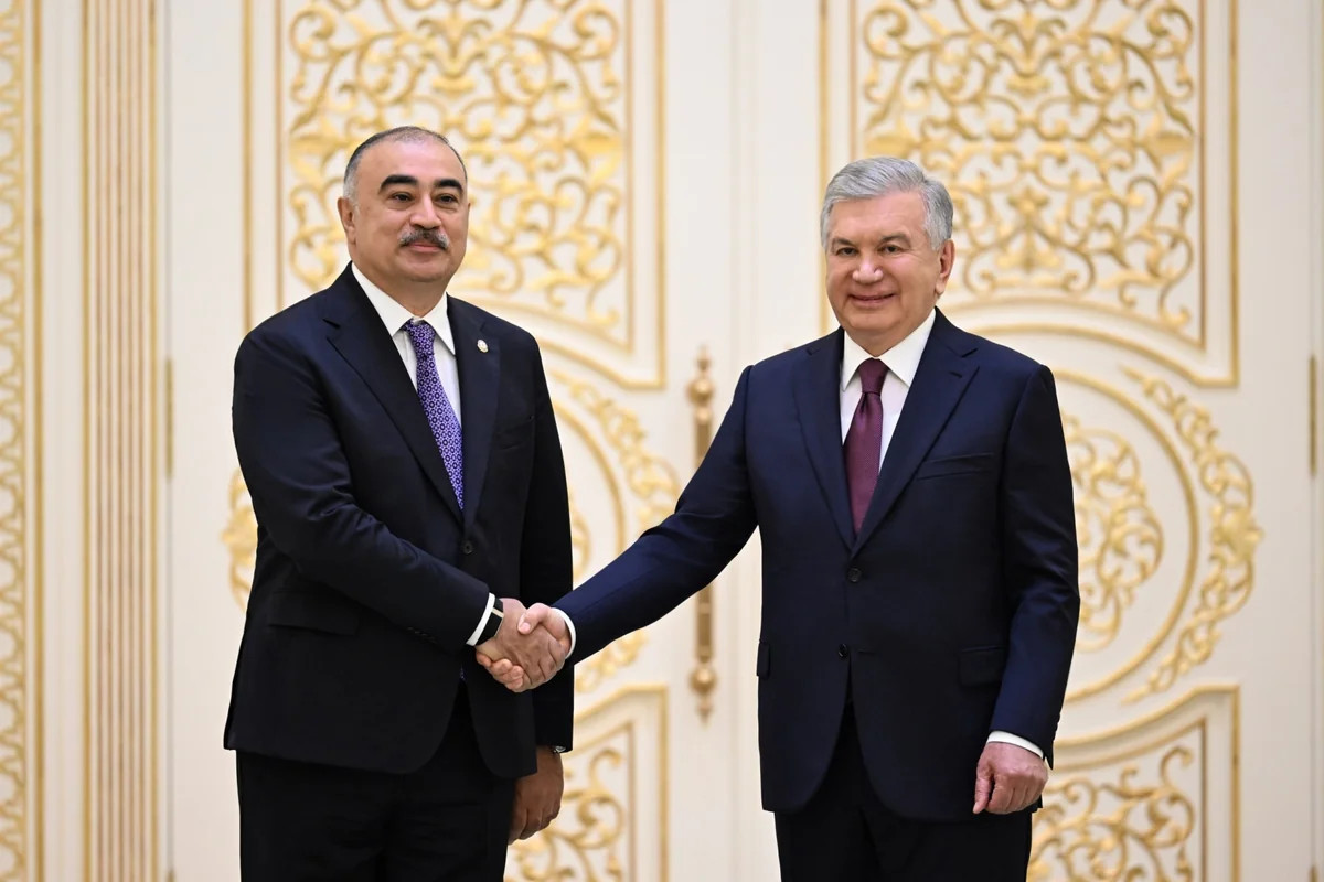 Rəşad Məmmədov etimadnaməsini Şavkat Mirziyoyevə təqdim edib