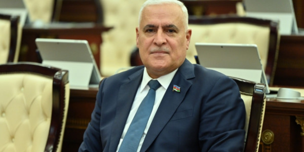 Vüqar Rəhimzadə: Hər bir xalqın milliliyini, mənəvi dəyərlərini, mədəniyyətini yaşadan onun dilidir