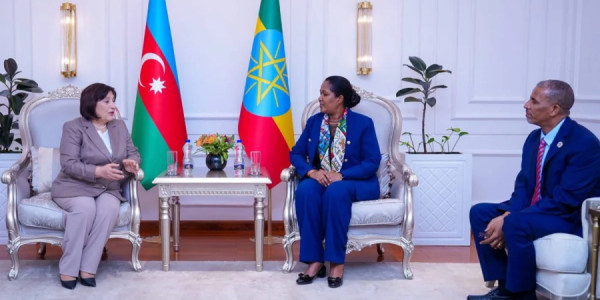 Sahibə Qafarova Efiopiyaya gedib