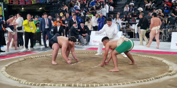 Azərbaycanın sumo millisi Yaponiyada təlim-məşq toplanışına start verib