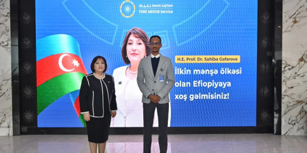 Milli Məclisin nümayəndə heyəti Efiopiyada bir sıra dövlət və tarixi məkanlarla tanış olub