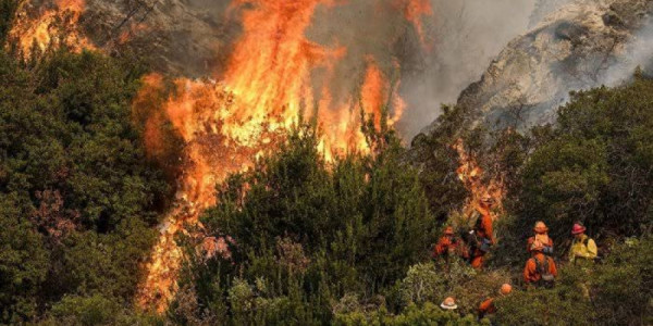 Avropadakı dəhşətli meşə yanğınlarının səbəbi açıqlandı