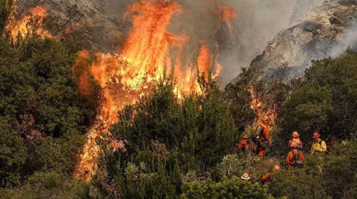 Avropadakı dəhşətli meşə yanğınlarının səbəbi açıqlandı