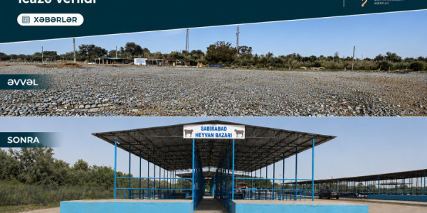 Sabirabad heyvan satışı bazarı fəaliyyətə başlayıb