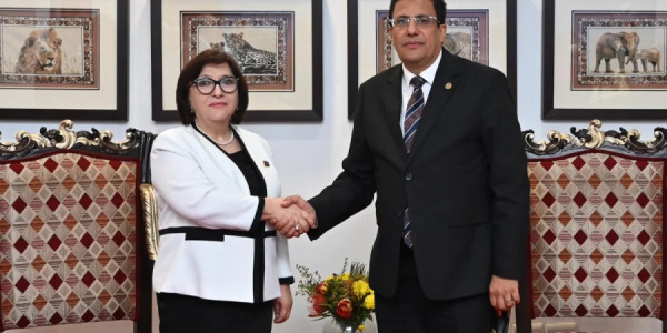 Milli Məclisin sədri Pan-Afrika Parlamentinin prezidenti ilə görüşüb