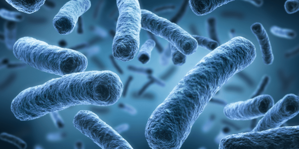 Virus yayılır, dərmanı isə yoxdur –
