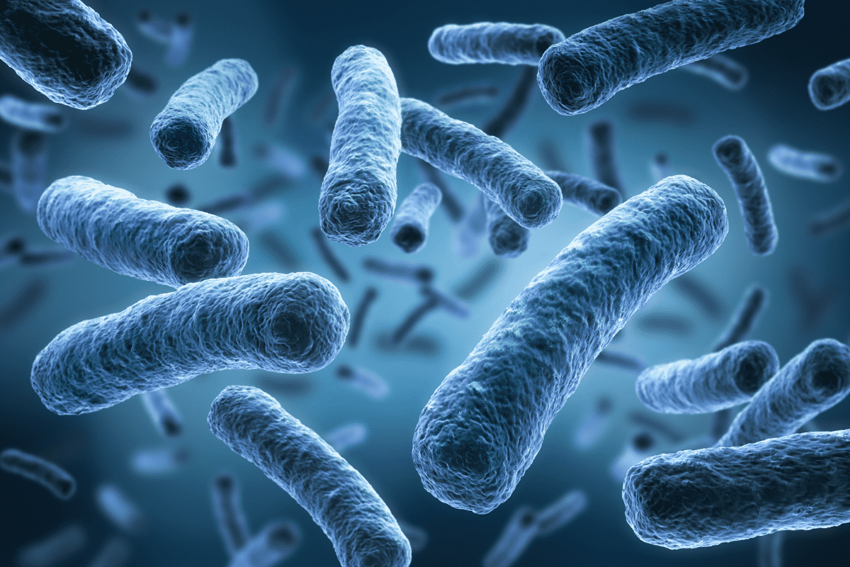 Virus yayılır, dərmanı isə yoxdur –