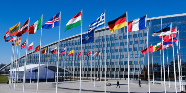 Rusiya XİN: NATO tarixinin ən ağır böhranını yaşayır