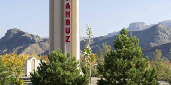 Şahbuzda avtomobil aşıb, sərnişin ölüb