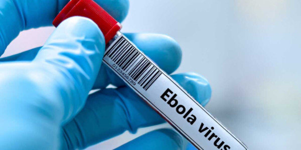 Ebola böhranı dərinləşir: