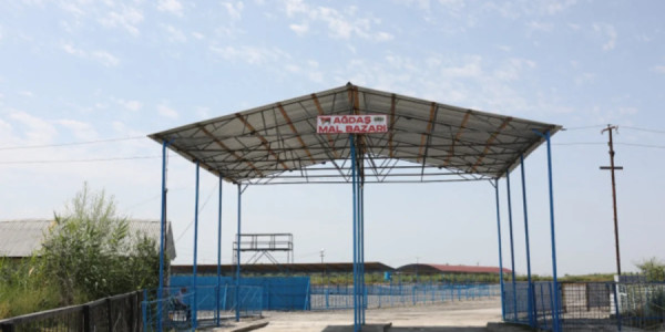 Ağdaş heyvan satışı bazarı fəaliyyətə başlayıb