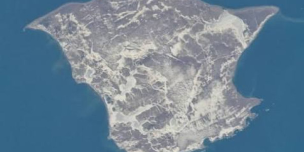 Medvedevdən Yaponiyaya Kuril adaları ilə bağlı