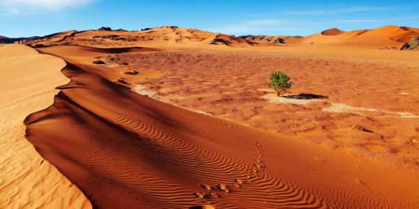 Səhranın altında gizlənən tarix: Sahara 6 min il əvvəl yaşıl cənnət imiş
