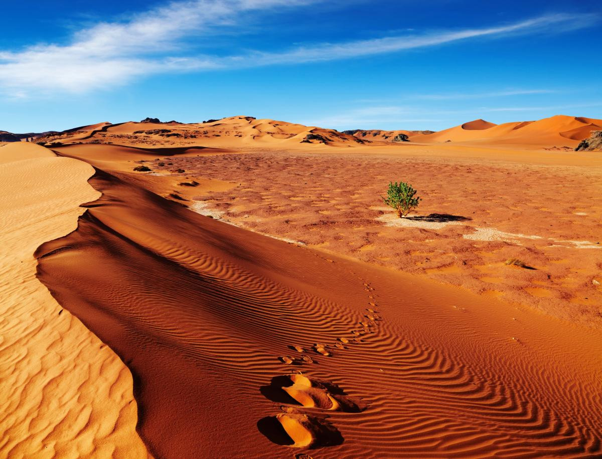 Səhranın altında gizlənən tarix: Sahara 6 min il əvvəl yaşıl cənnət imiş