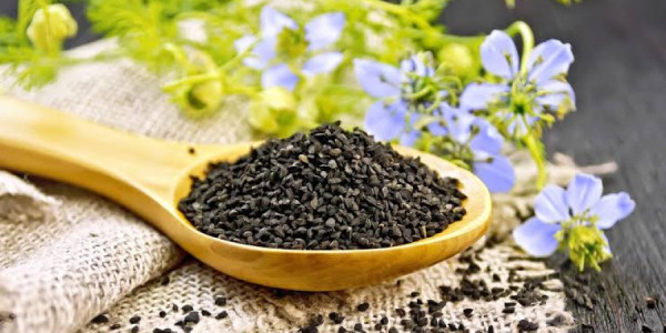 Çörəkotunun inana bilməyəcəyiniz faydaları