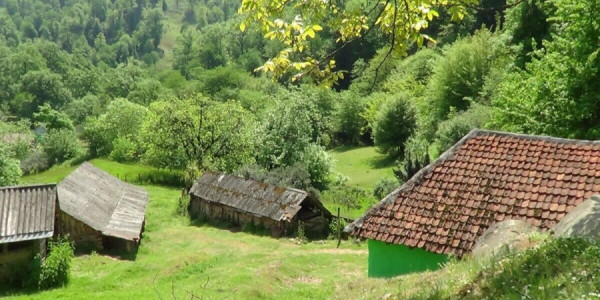 Kəndlər boşalsa, iqtisadiyyat düzələcək -