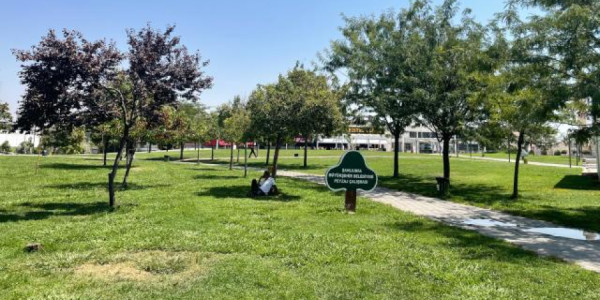 İstidən qorunmaq üçün parklara axışdılar