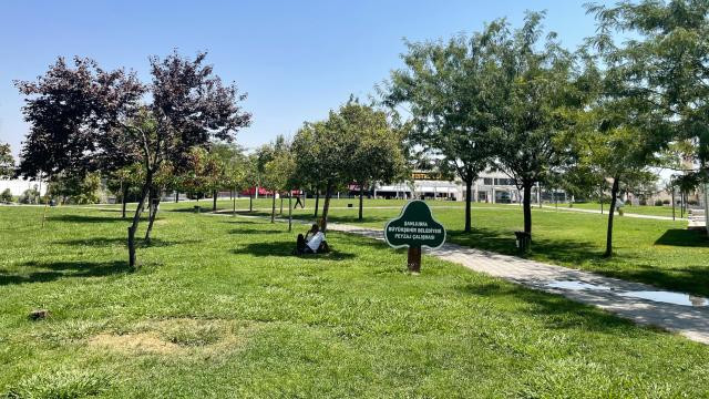 İstidən qorunmaq üçün parklara axışdılar